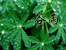 ףZ(y)